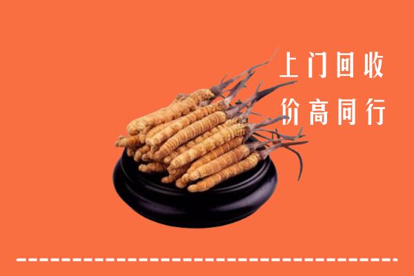 高价求购：弥勒市回收散虫草