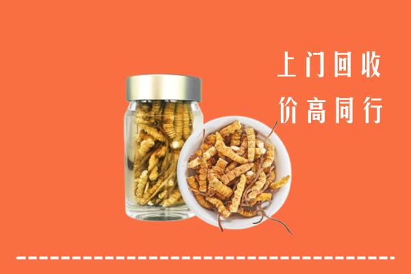 弥勒市回收冬虫夏草